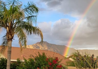 Backyard Rainbow